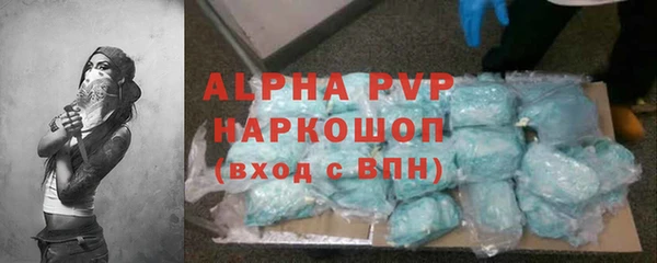 гашик Алексин