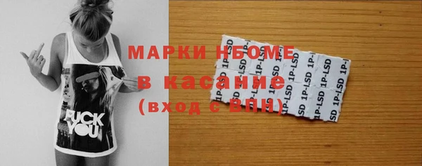 гашик Алексин
