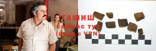 гашик Алексин