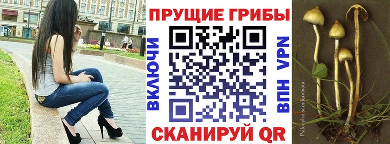 где найти наркотики  Полярный  Псилоцибиновые грибы Magic Shrooms 